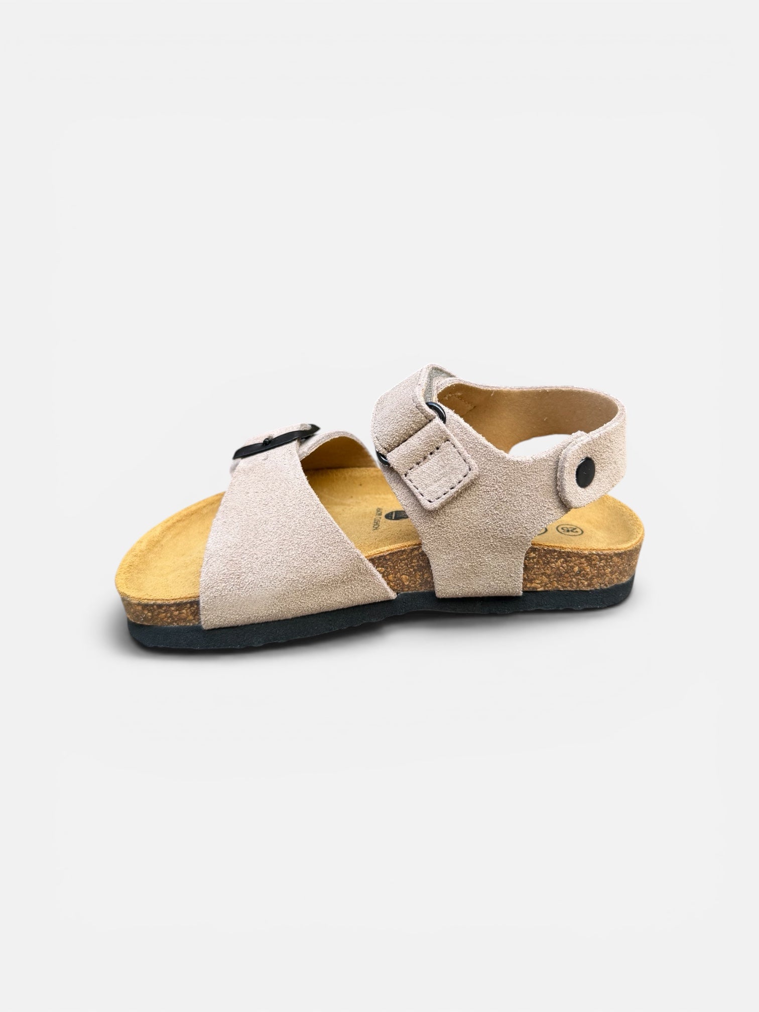 Plakton Grigio Ref13