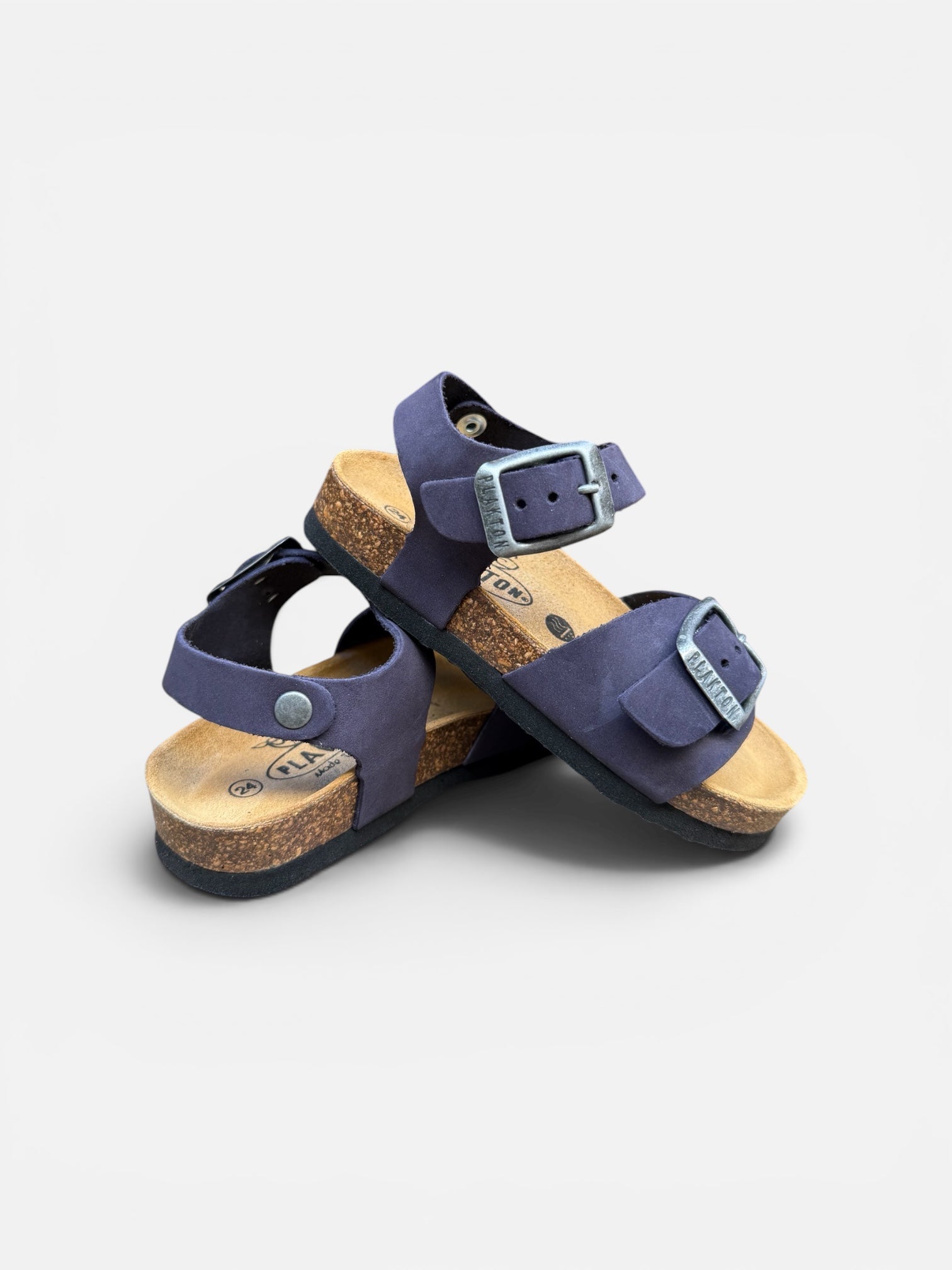 Plakton Blu Ref3