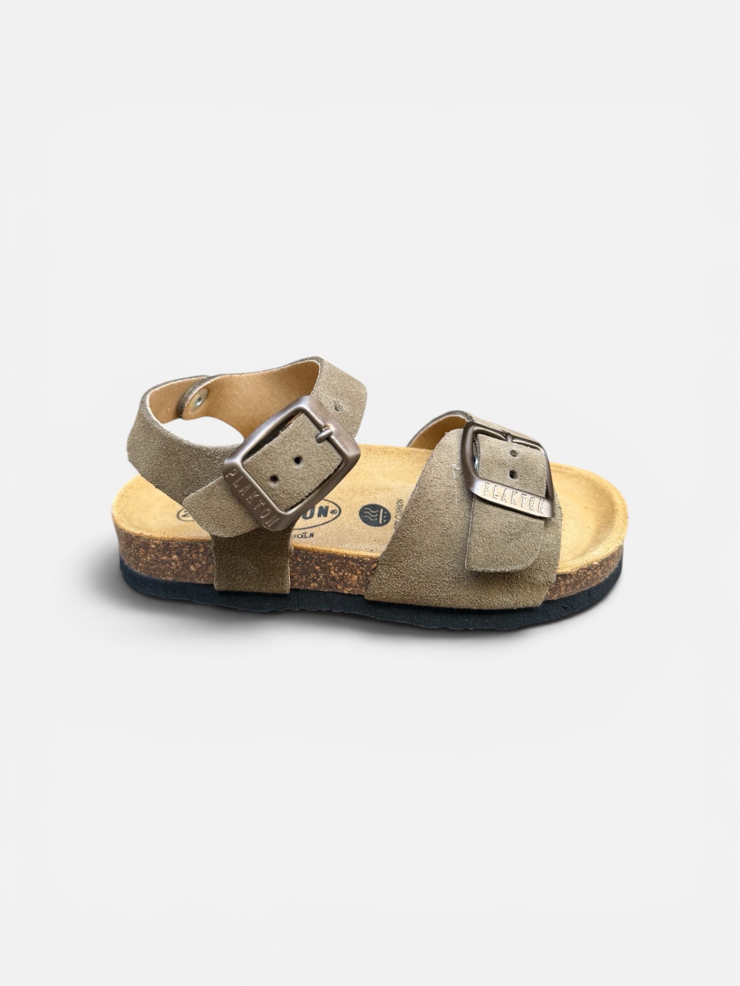 Plakton Kaki Ref1