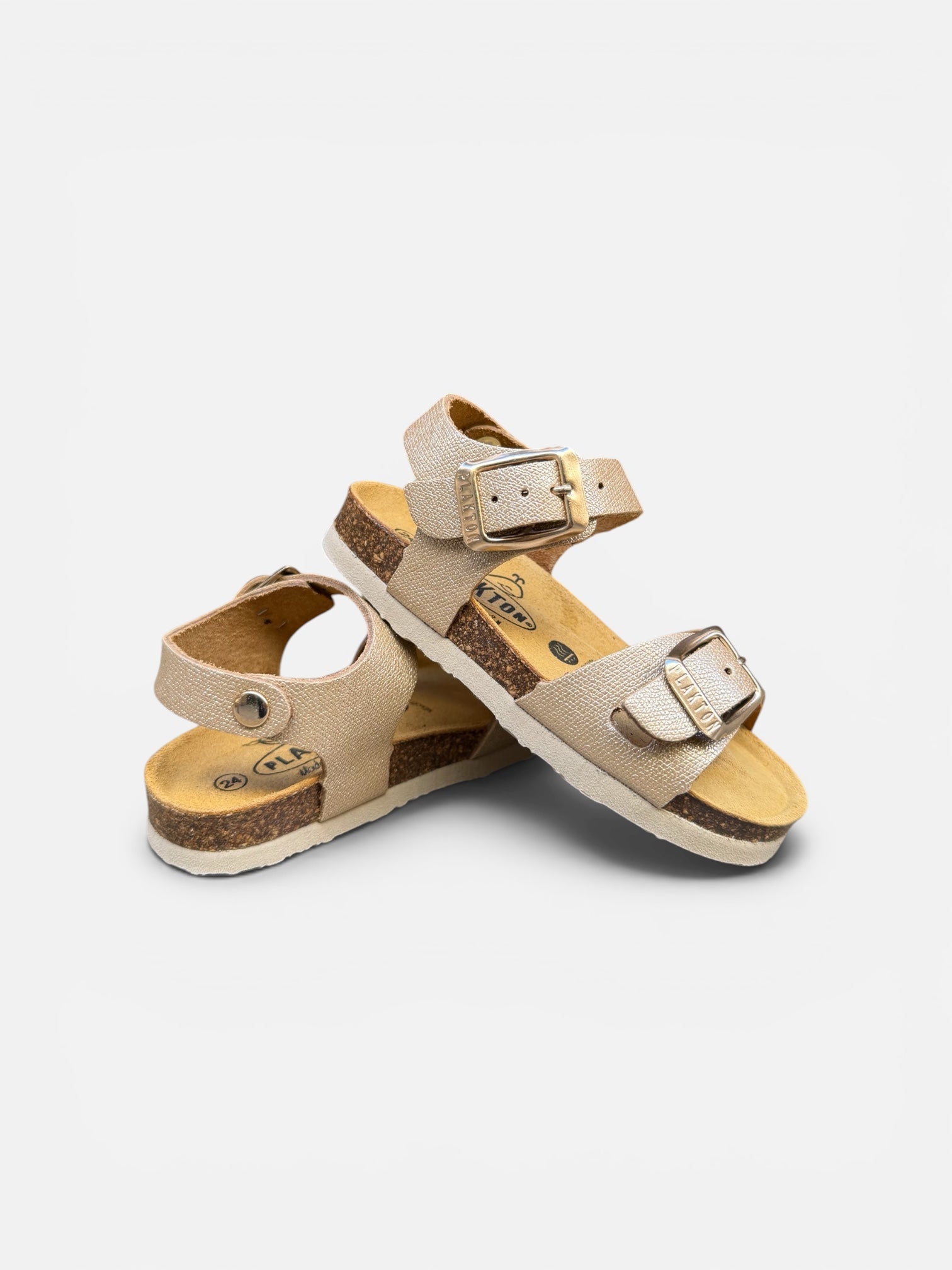 Plakton Gold Ref4