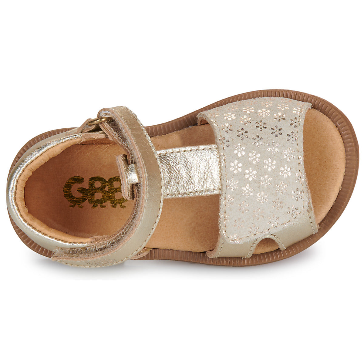 GBB Tendre col 18