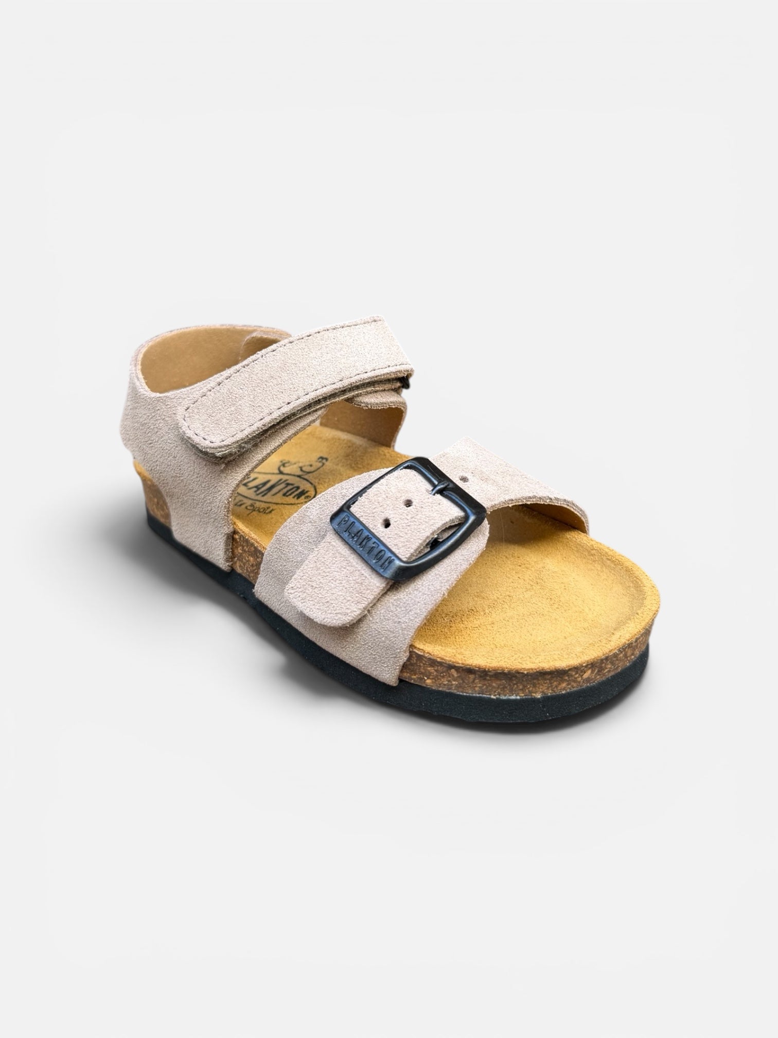 Plakton Grigio Ref13