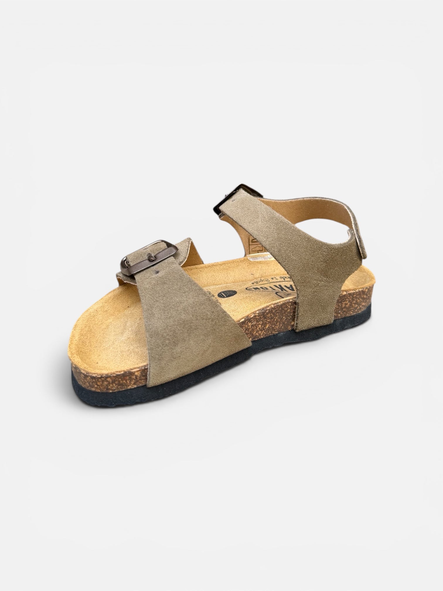 Plakton Kaki Ref1