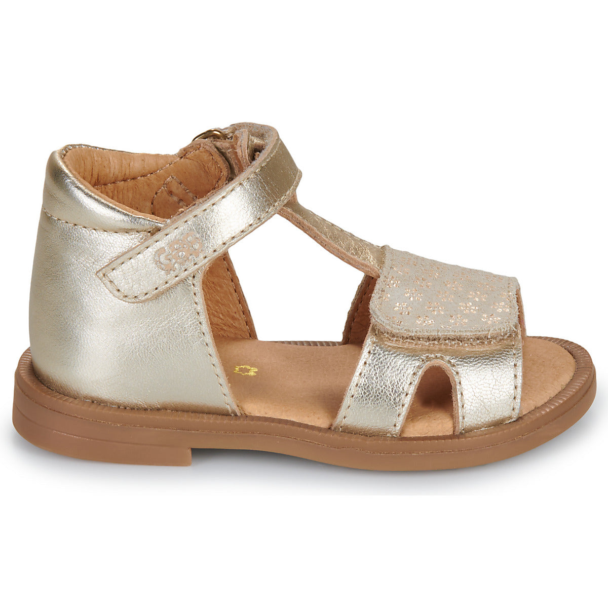 GBB Tendre col 18