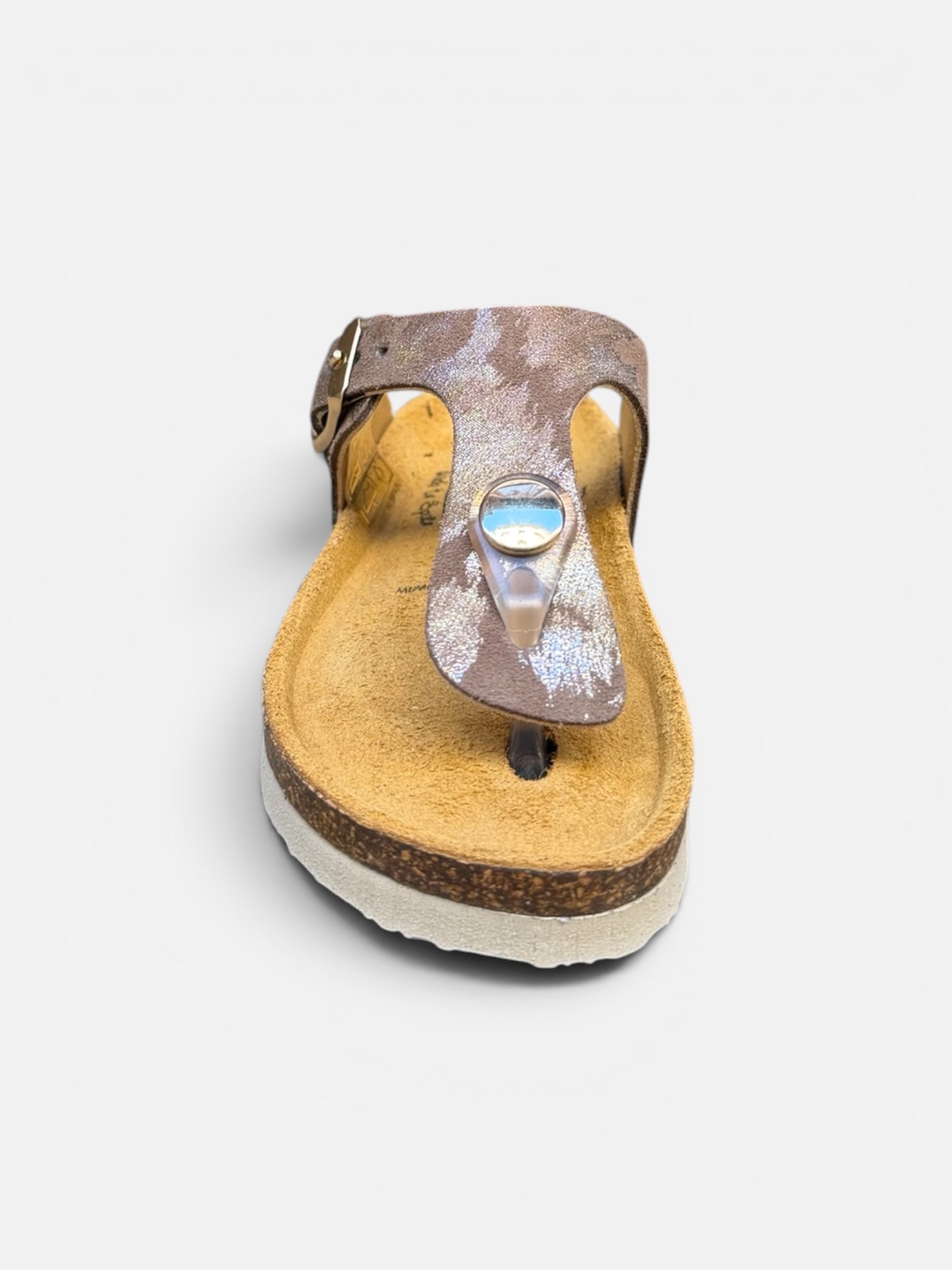 Plakton Bronze Ref8
