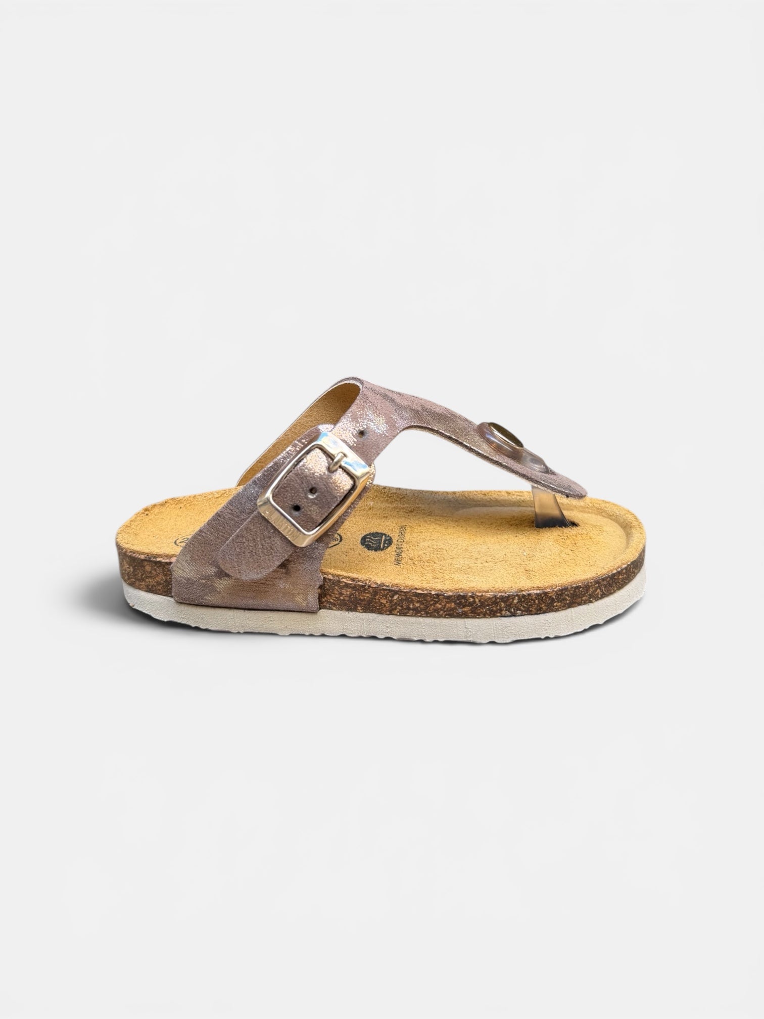 Plakton Bronze Ref8