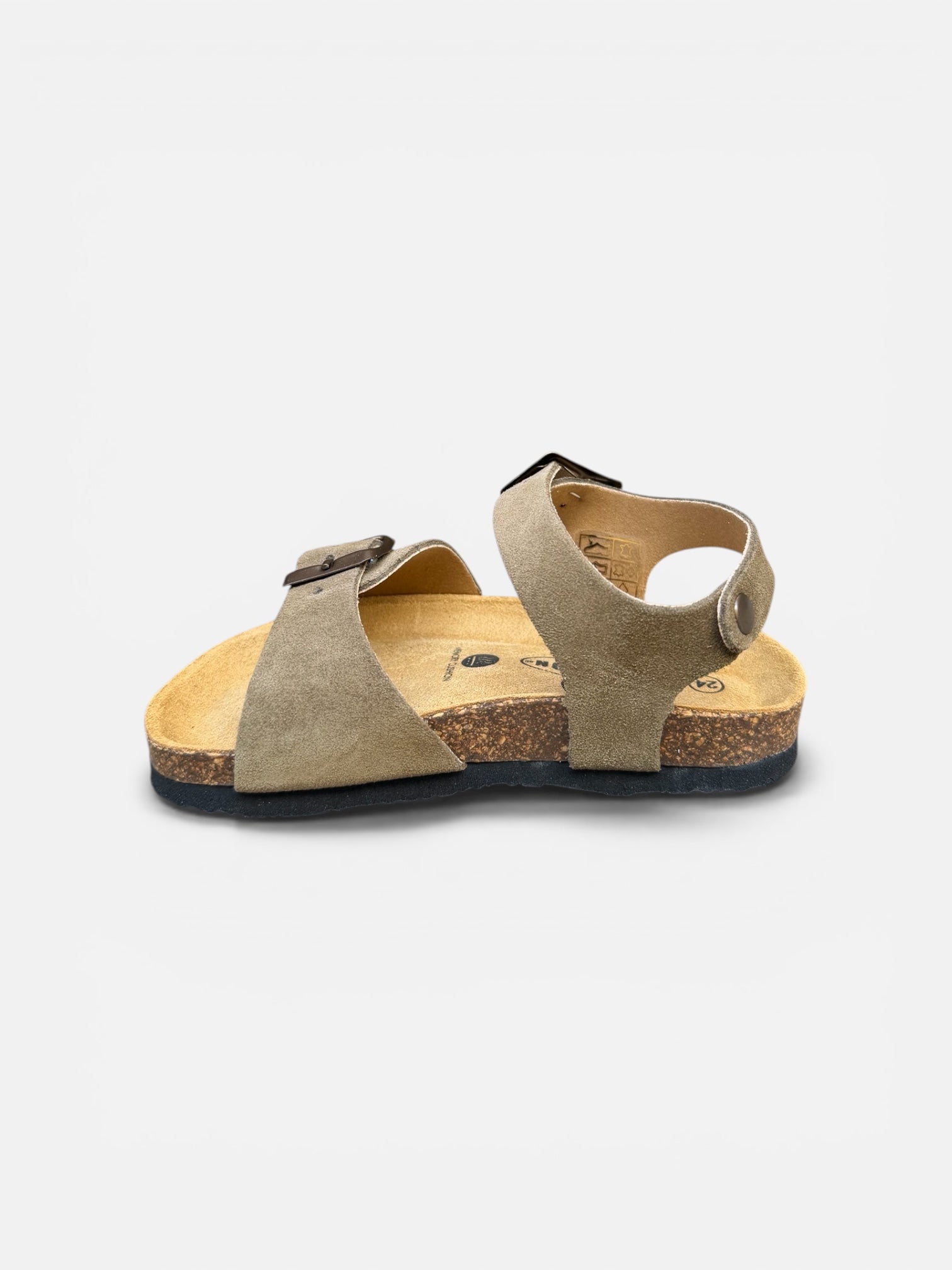 Plakton Kaki Ref1