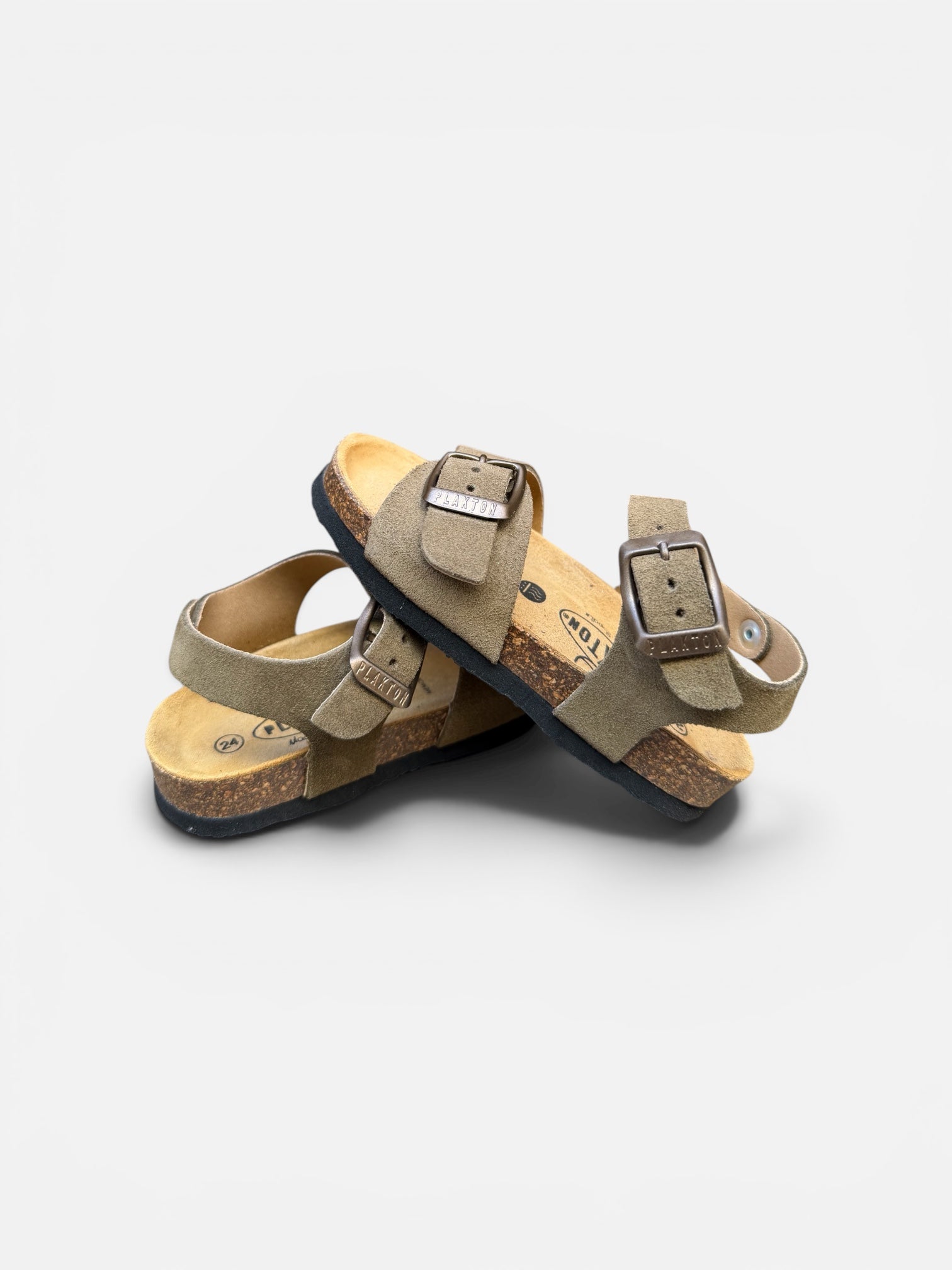 Plakton Kaki Ref1