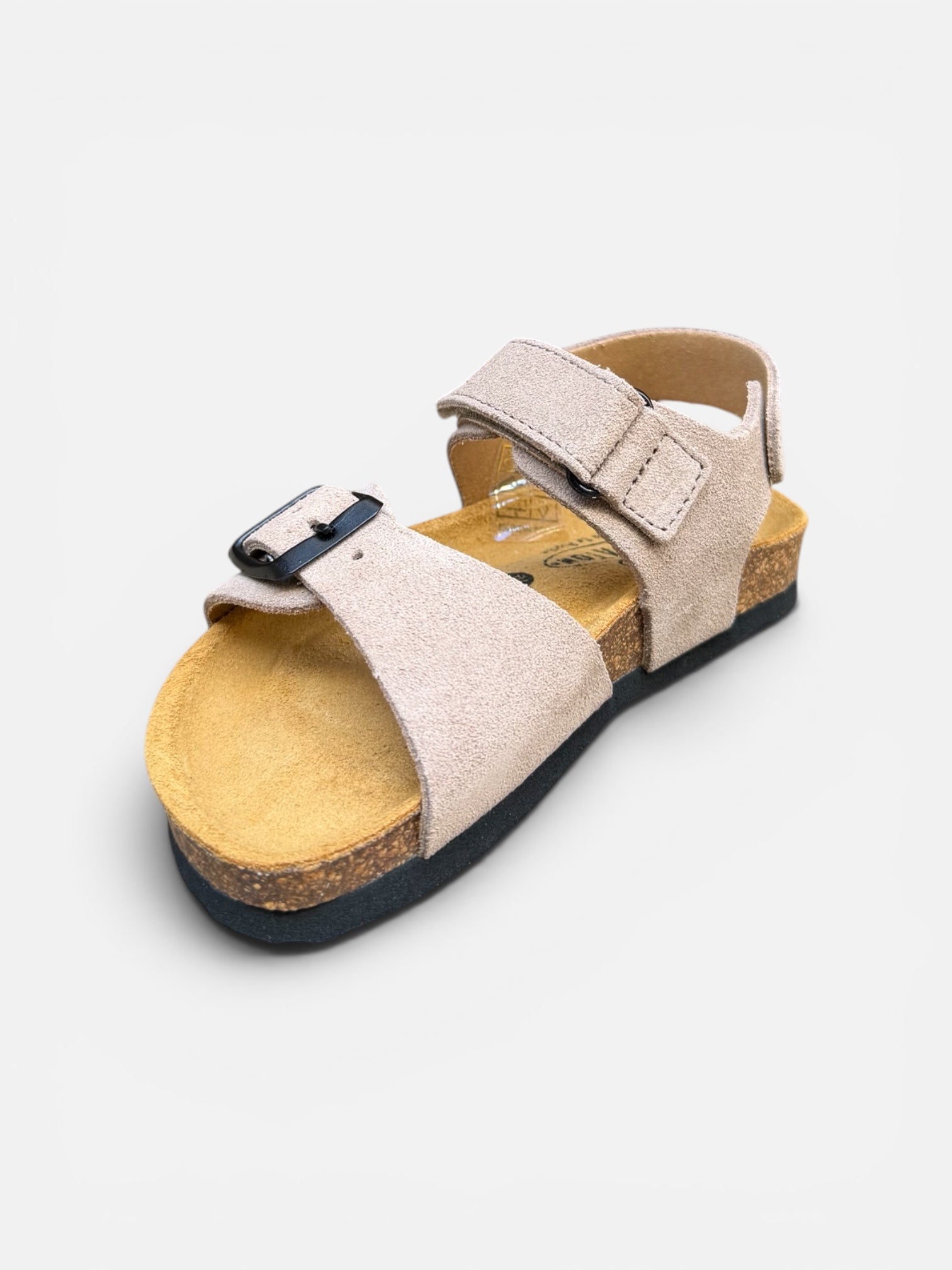 Plakton Grigio Ref13
