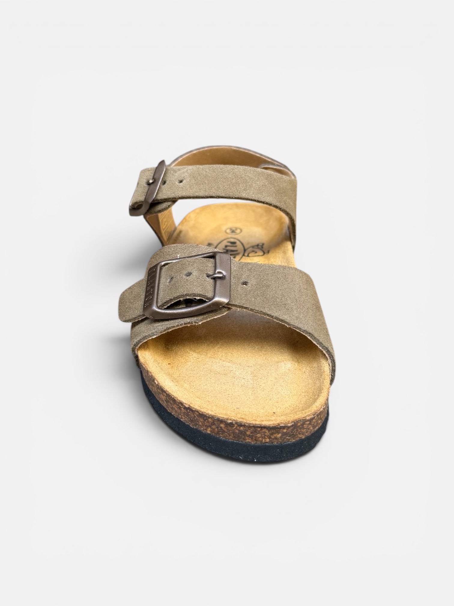 Plakton Kaki Ref1