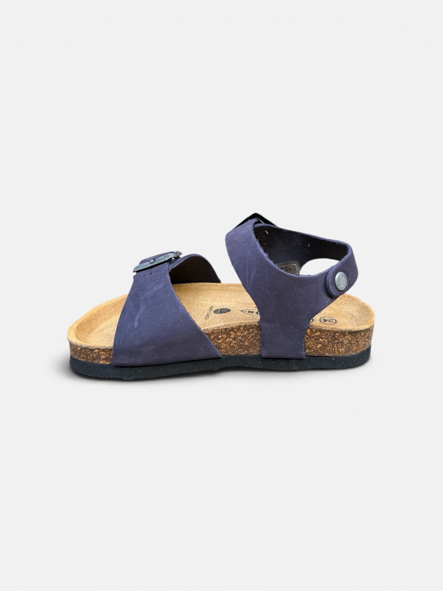 Plakton Blu Ref3